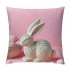 Ulloord pillow Covers, Rabbits Bunny Farmhouse Decorative Throw pillowcases for Home Sofa Couch Decoration