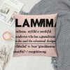  Definition Decorative Throw pillow Case Cover, Appreciation Gift Decorations for Home Bedroom, Birthday from Grandson Granddaughter