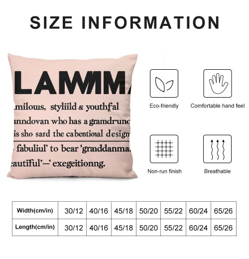  Definition Decorative Throw pillow Case Cover, Appreciation Gift Decorations for Home Bedroom, Birthday from Grandson Granddaughter