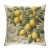 Ulloord  Lemon Throw pillow Covers&nbsp;Tropical Summer Beach Fruit Lemon&nbsp;Decorative pillow Covers Decorative Cushion Cover (Lemon)