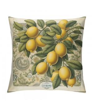 Ulloord  Lemon Throw pillow Covers&nbsp;Tropical Summer Beach Fruit Lemon&nbsp;Decorative pillow Covers Decorative Cushion Cover (Lemon)