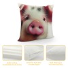 Ulloord pillow Covers Abstract Adorable Funny Animal Pig Throw pillow Covers Square pillowcase Cushion Cover for Home Sofa Couch Car Decoration 