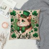 PHYHOO St Patricks Day pillow Cover Cat Decor Farmhouse Holiday Spring pillow Case Decorations for Home Sofa Bedroom