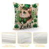 PHYHOO St Patricks Day pillow Cover Cat Decor Farmhouse Holiday Spring pillow Case Decorations for Home Sofa Bedroom