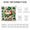 PHYHOO St Patricks Day pillow Cover Cat Decor Farmhouse Holiday Spring pillow Case Decorations for Home Sofa Bedroom