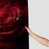 Shangniulu Art Red Roses Bathroom Set with Shower Curtain and Rugs, Toilet Lid Cover, Bath Mat, Romantic Roses Shower Curtains for Bathroom Decor, Waterproof Fabric Bathroom Shower Curtain Sets with 