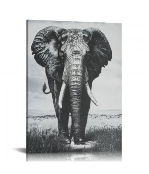 QKZF Black And White Wall Art Canvas Painting Framed Elephant Wall Decor Ready To Hang For Living Room Bedroom Bathroom Home OfficeWall Paintings