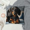 PHYHOO Short Plush pillow Covers,Black Long-Haired Dachshund Dog Double-Sided Print Square Cushion Cases for Sofa Bedroom Car Decorative