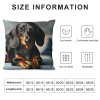 PHYHOO Short Plush pillow Covers,Black Long-Haired Dachshund Dog Double-Sided Print Square Cushion Cases for Sofa Bedroom Car Decorative